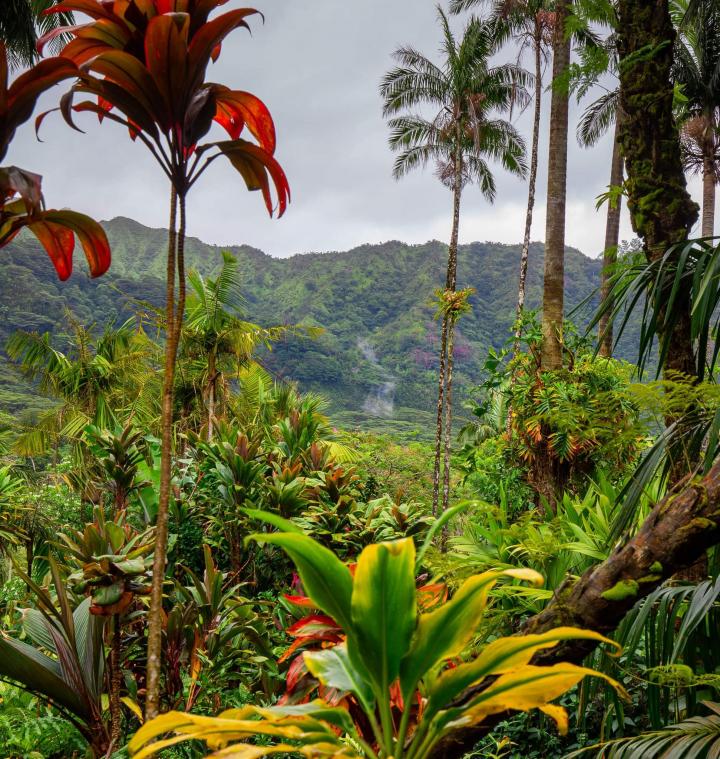 United States, Kauai