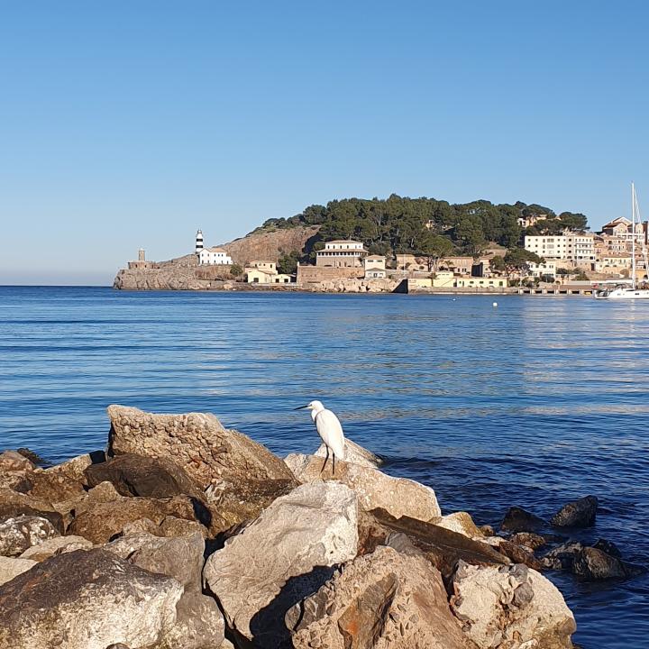 Spain, Majorca, Port de Soller