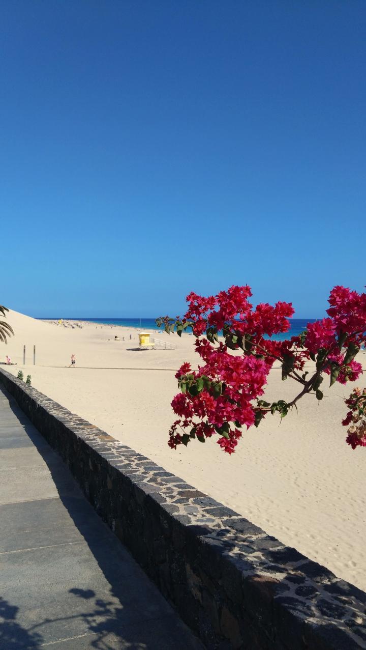 Spain, Fuerteventura, Morro Jable