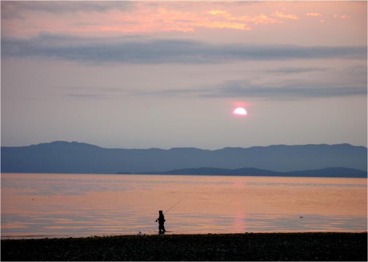 A Fly Fisher Wades Along the Beach Searching for His Quarry | Canada, British Columbia, Vancouver Island
