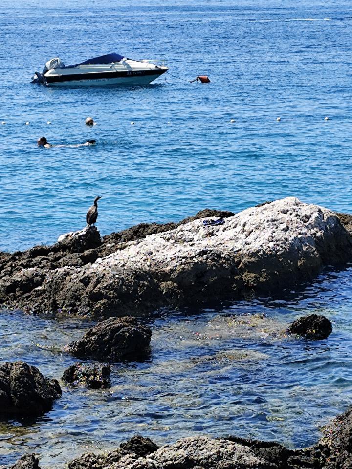 Croatia, Njivice