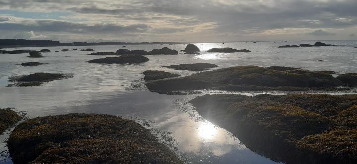 Mousterlin à marée basse | France, Brittany