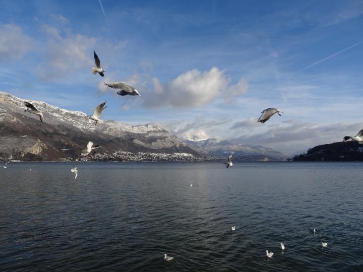 France, Auvergne-Rhone-Alpes, Annecy