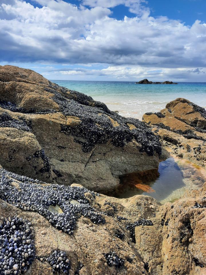Smaragdküste Anse du croc | France, Brittany, Cap Frehel