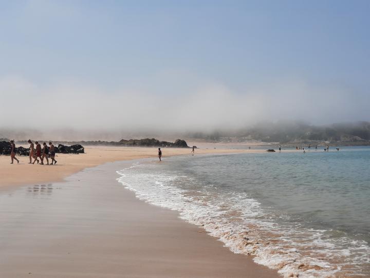Meeresnebel in Pleherel plage | France, Brittany, Cap Frehel