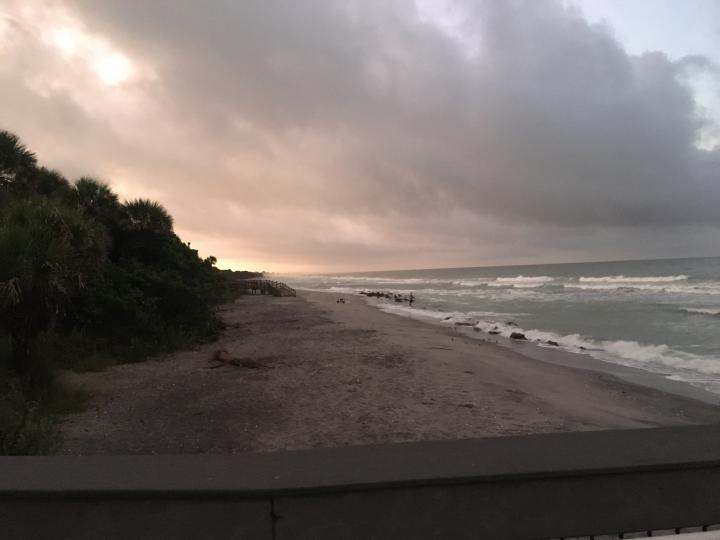 Dawn at Caspersen Beach, Venice, FL. Morning fog. | United States, Florida Gulf Coast, Venice Beach