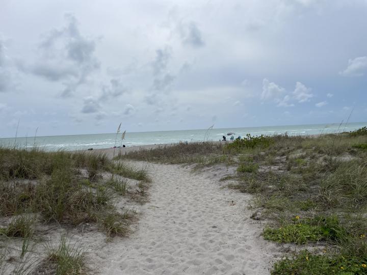United States, Florida Gulf Coast, Caspersen Beach