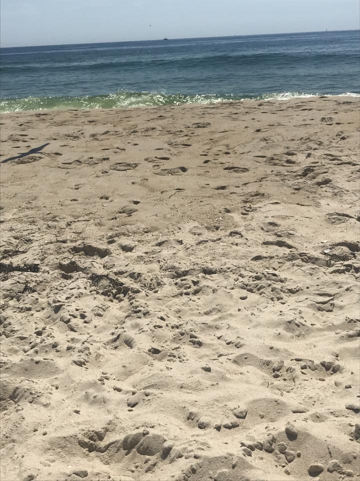 United States, New Jersey, Brant Beach