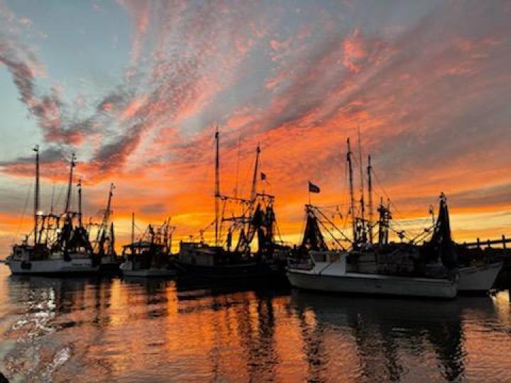 Shem Creek, Mount Pleasant, SC. Unbelievable night sky with shimp boats in the foreground! | United States, South Carolina, Isle of Palms