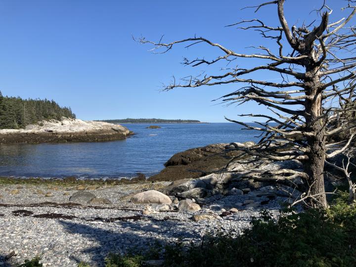 Isle au Haut Maine | Estados Unidos, Maine