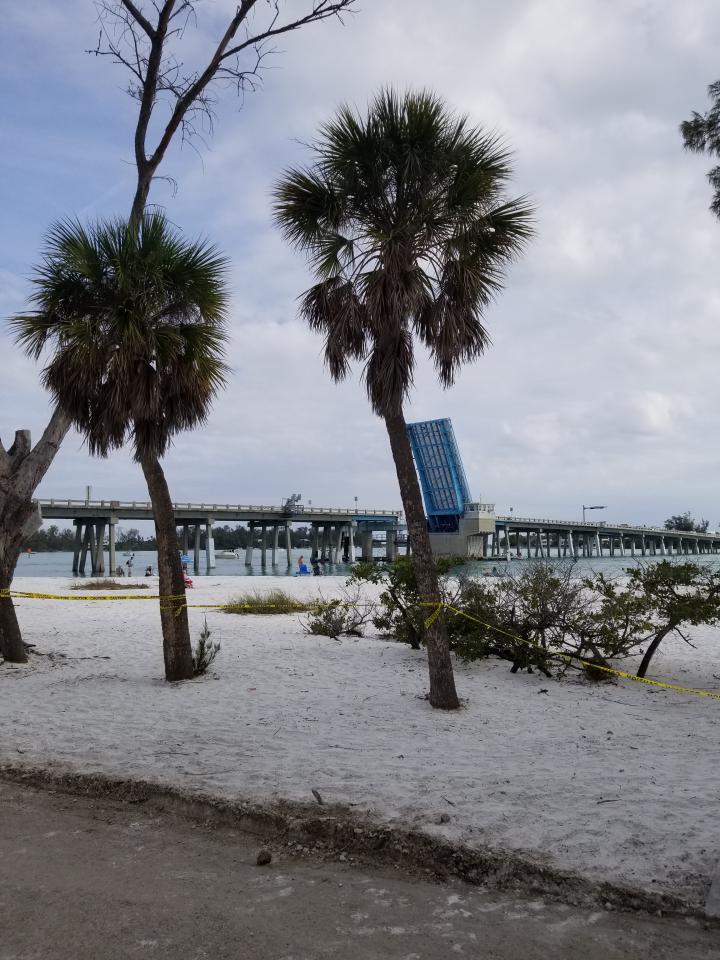 United States, Florida Gulf Coast, Coquina Beach