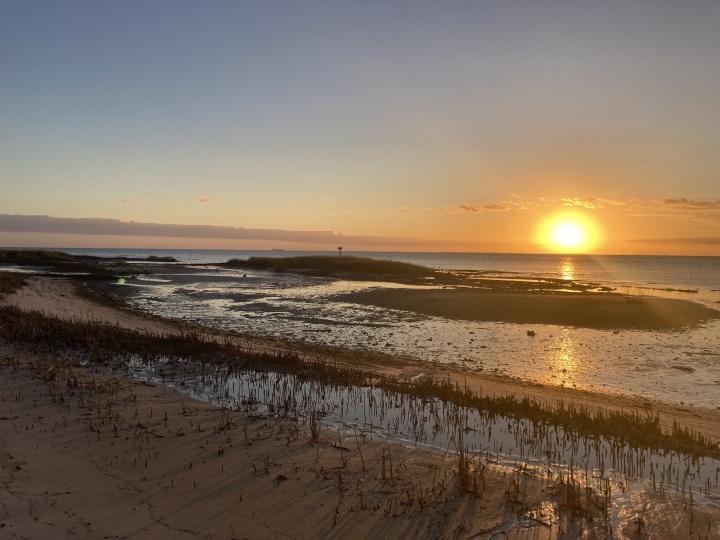 rural Delaware Bay, middle section, Nantuxent Cove, picture taken at Money Island NJ | United States, Delaware, Delaware Bay