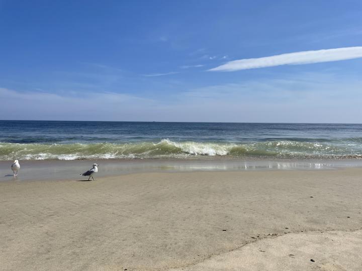 United States, New Jersey, Manasquan