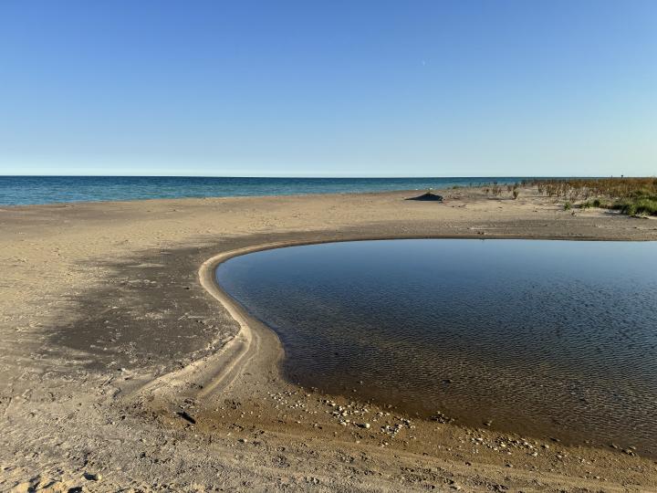 Dead River Closed Mouth Sand Band | United States, Illinois, Illinois Beach State Park