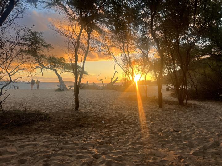 United States, Maui, Kihei