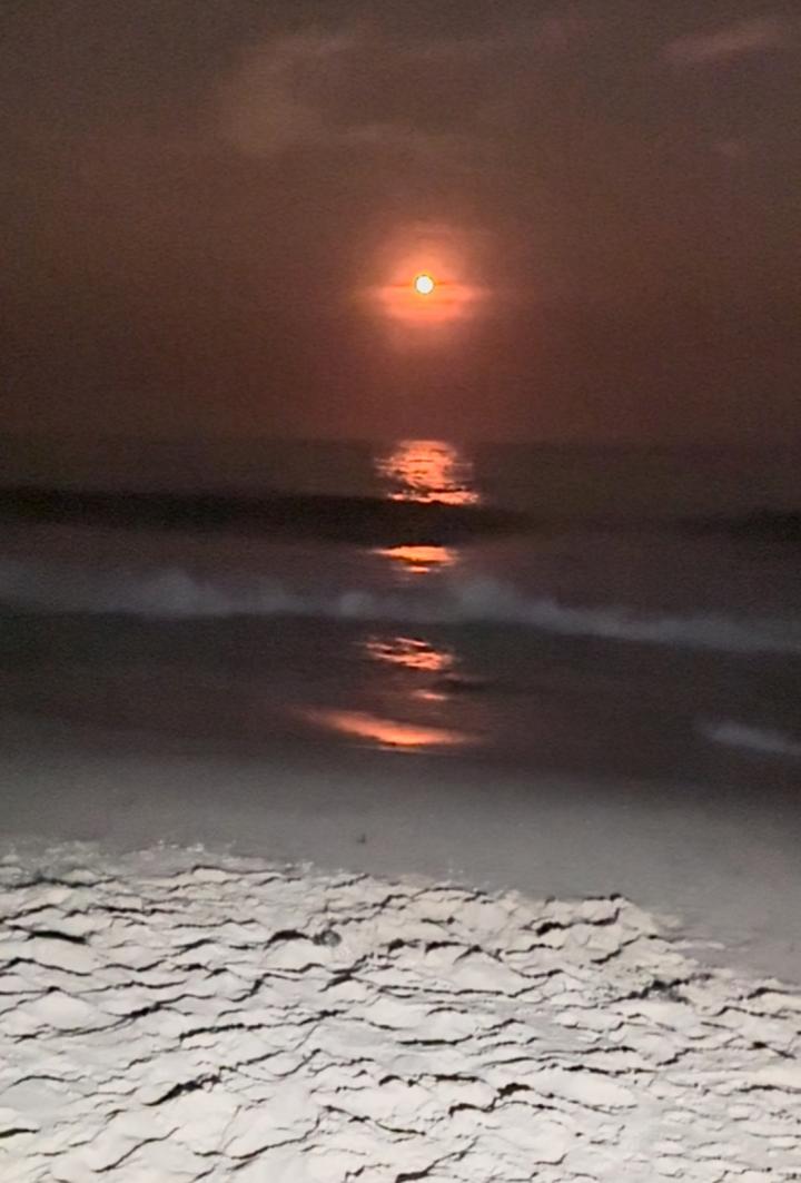 Smith Point | United States, New York, Mastic Beach