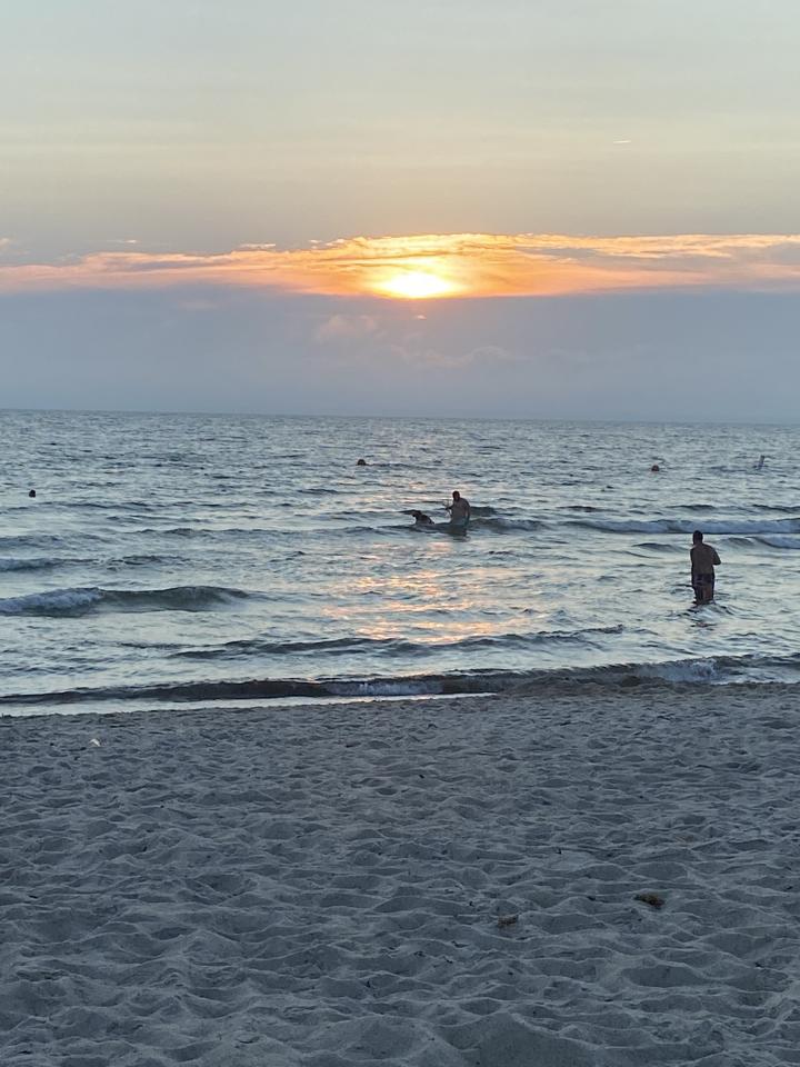 Sunset at old silver beach | United States, Cape Cod, Falmouth