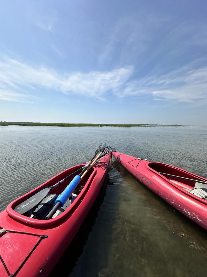Island Beach State Park | États-Unis, New Jersey, Jersey Shore