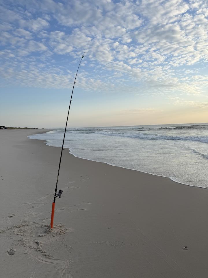 United States, New Jersey, Island Beach State Park