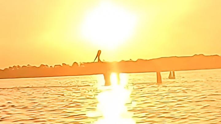 Pelican sunrise on a channel marker in Blackwater Bay. | Estados Unidos, Costa do Golfo da Florida, East Milton