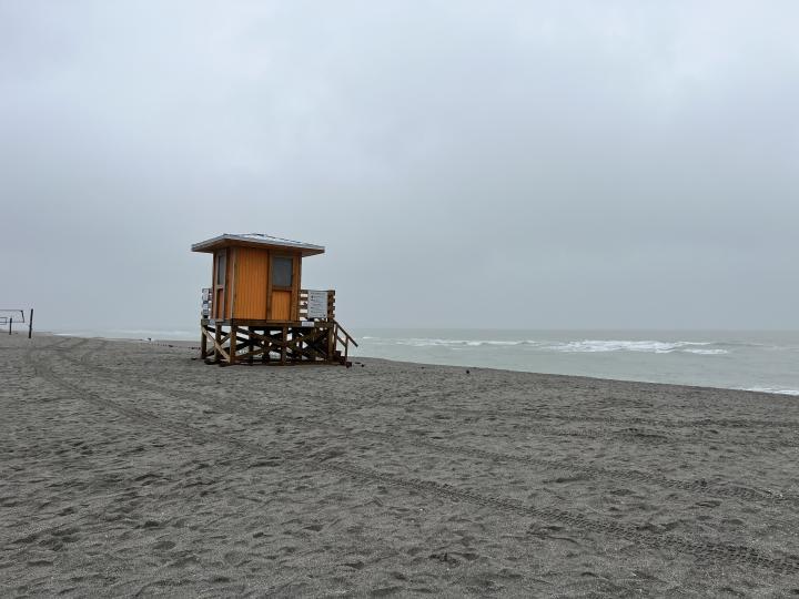 Sjedinjene Američke Države, Floridska obala Meksičkog zaljeva, Venice Beach