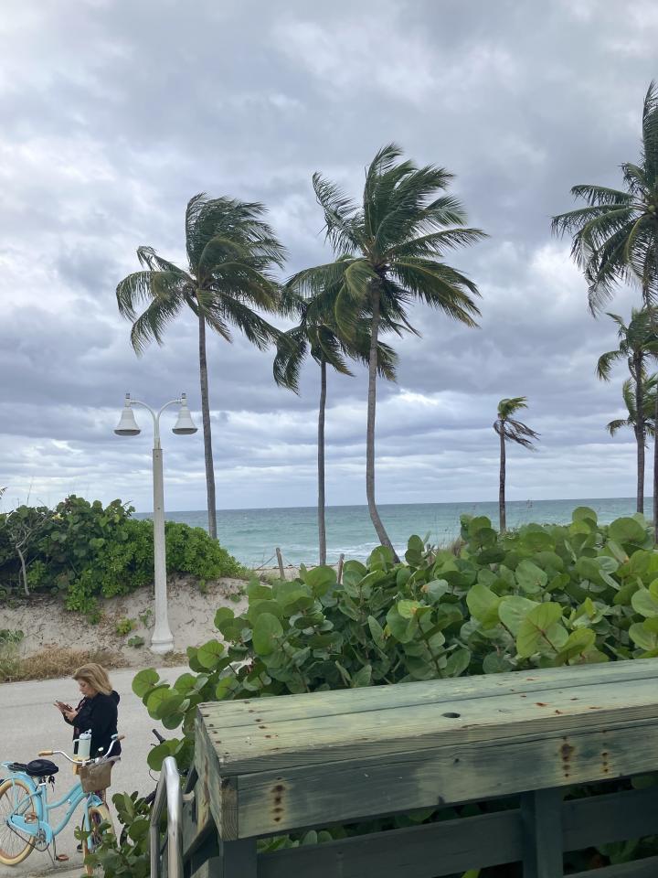 Another Day in Paradise 11/28/25 | United States, Florida East Coast, Hollywood