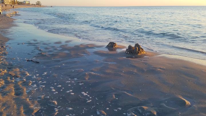 United States, Florida Gulf Coast, Venice Beach