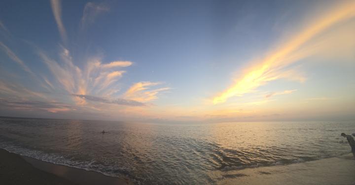 United States, Florida Gulf Coast, Venice Beach
