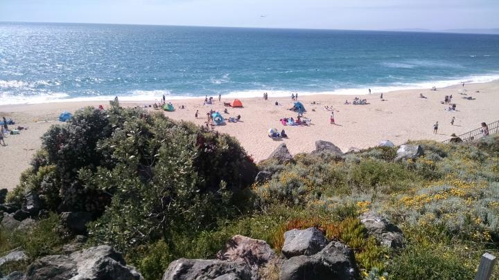 Америка, Каліфорнія, Монтара