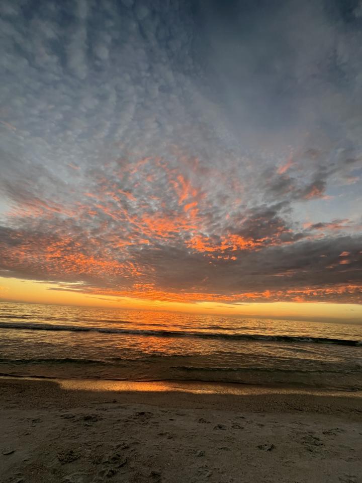 United States, Florida Gulf Coast, Coquina Beach
