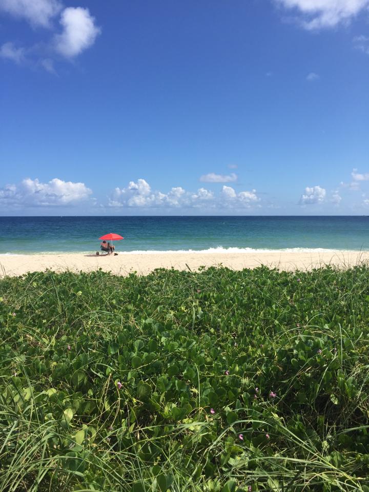 Looking east at the Atlantic ocean by the beach in Lauderdale-by-the-Sea | United States, Florida East Coast, Lauderdale-by-the-Sea