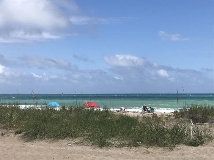 Beach umbrellas in Lauderdale -by-the-Sea | United States, Florida East Coast, Lauderdale-by-the-Sea