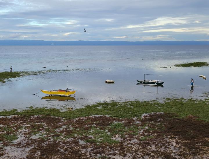 Bilisan area -1.3 tide Dec 18, 2024 | Philippines, Central Visayas, Panglao