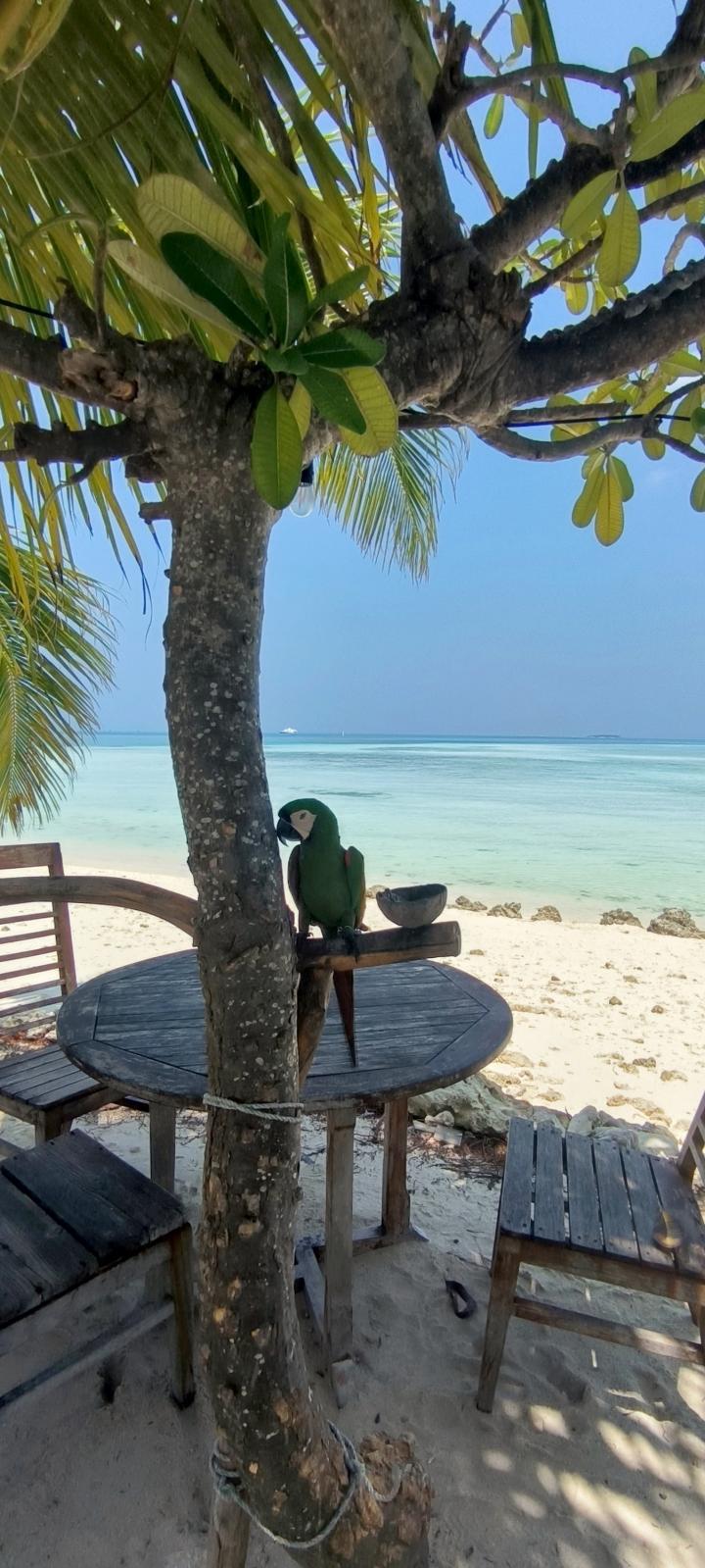 Maldives, Dhiffushi