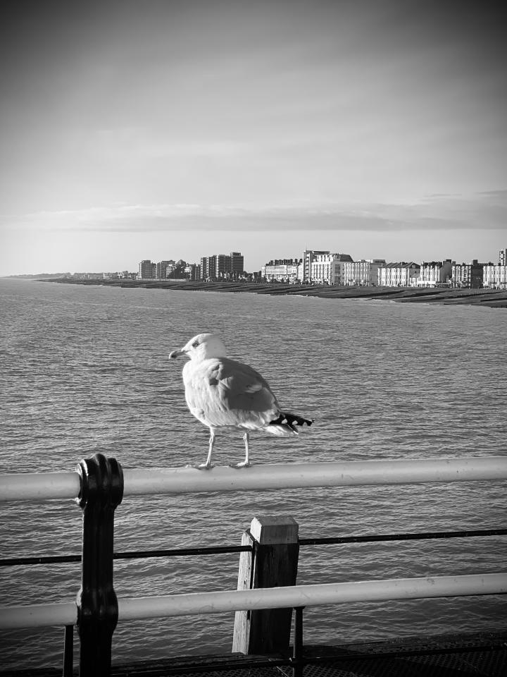 United Kingdom, West Sussex, Worthing