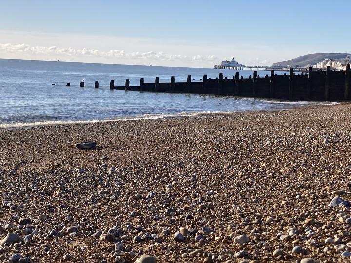 Looking west towards the pier | United Kingdom, East Sussex, Eastbourne