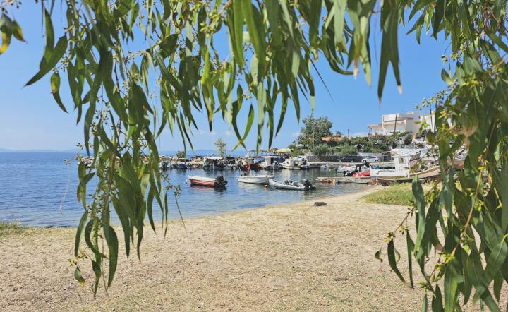 City Beach | Grèce, Chalcidique, Neos Marmaras