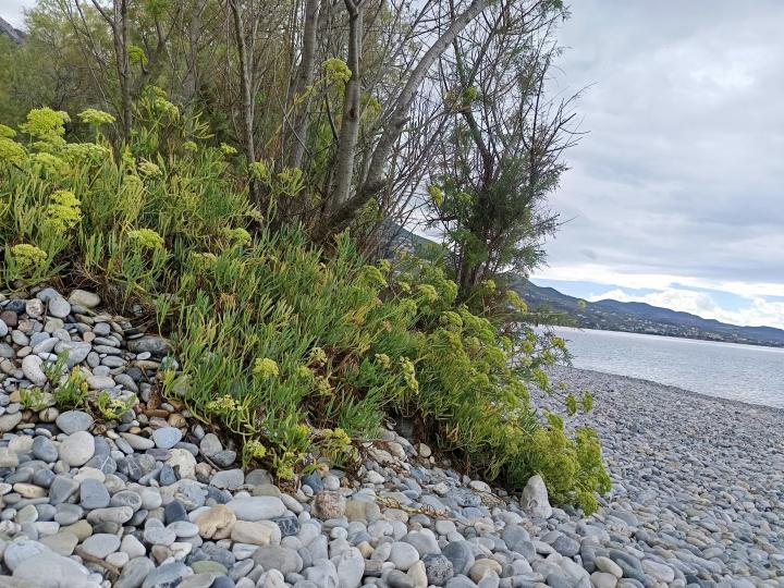 Kalamata Beach 3 | Greece, Peloponnese, Kalamata