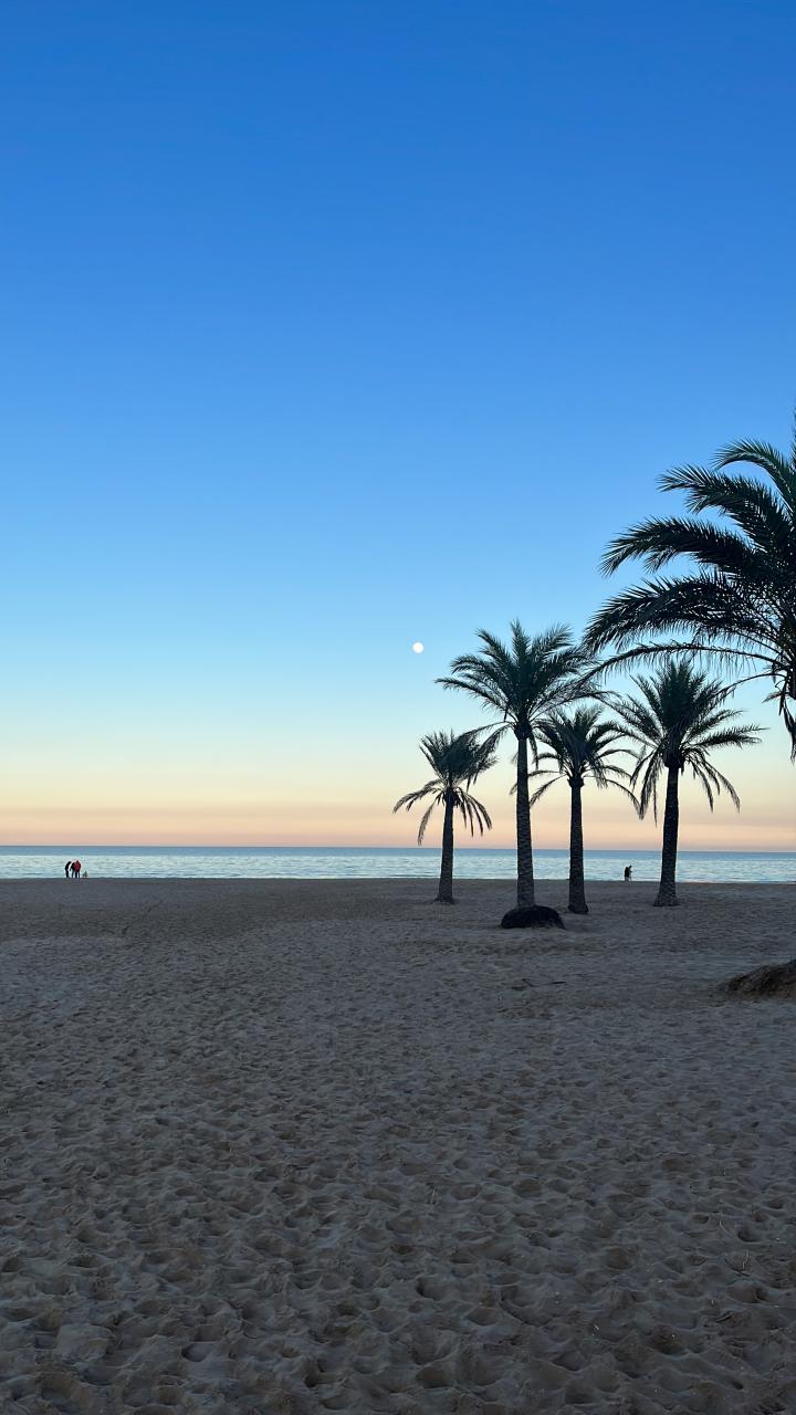 Playa en invierno | Spain, Province of Valencia, Gandia