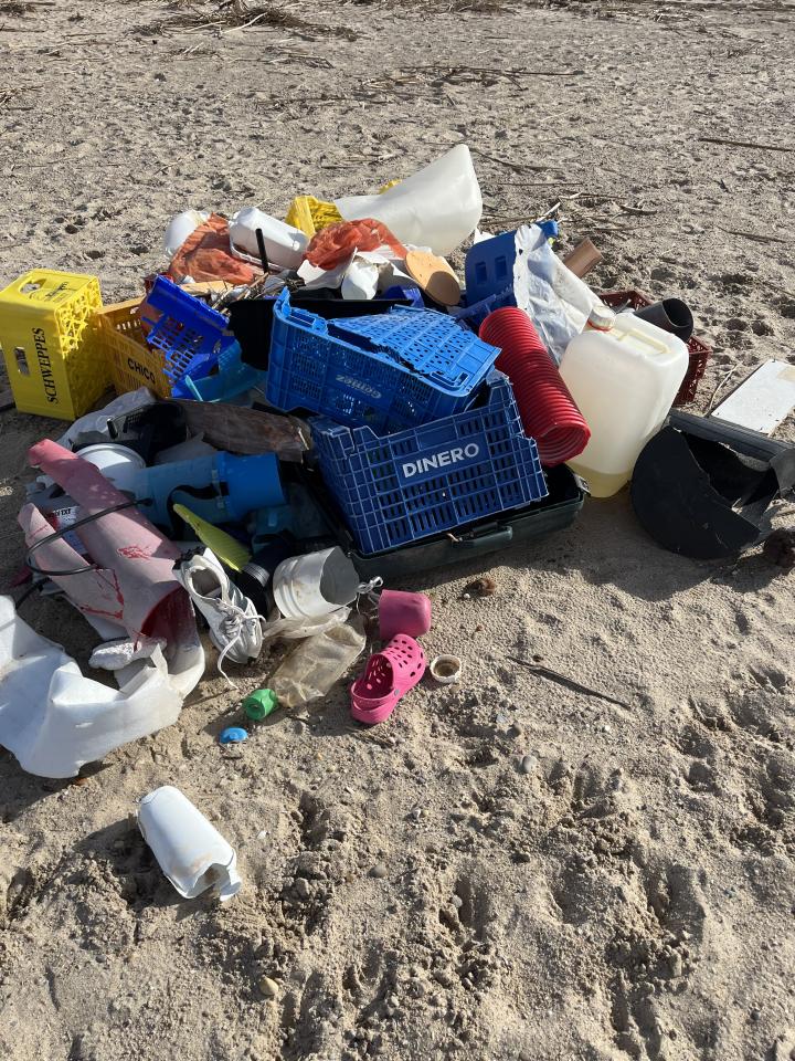 Así está la playa del Saler a día 7 de diciembre, a causa de la Dana | Spain, Province of Valencia, El Saler