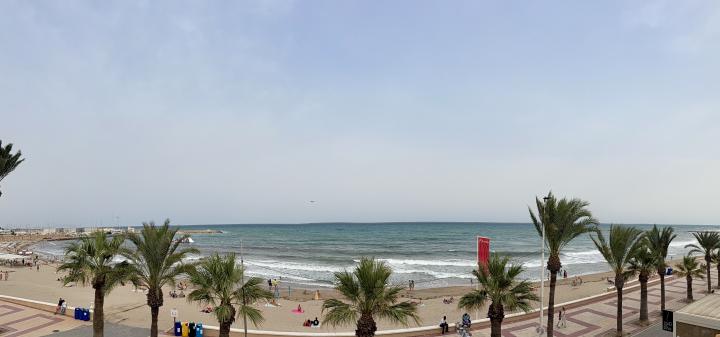 Hoy bandeja roja todo el dia | Spain, Province of Alicante, El Campello