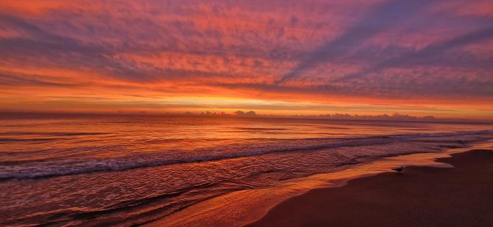 Playa Centro | Spain, Province of Alicante, Guardamar del Segura