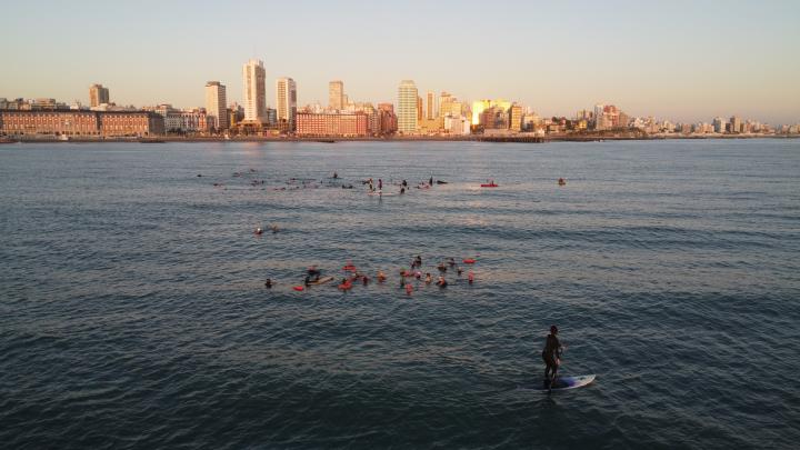 Encuentro de nadadores frente a la costa de Mar del Plata | Argentina, Mar del Plata