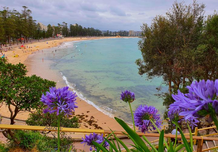 Australia, New South Wales, Manly beach