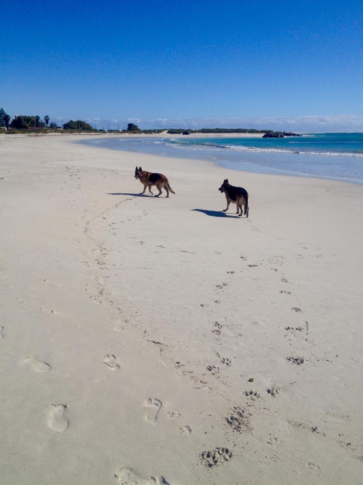 Long sandy beaches | Australia, Western Australia, Geraldton