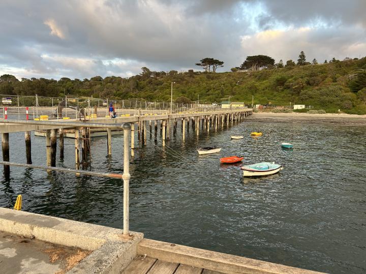 Australia, Victoria, Flinders