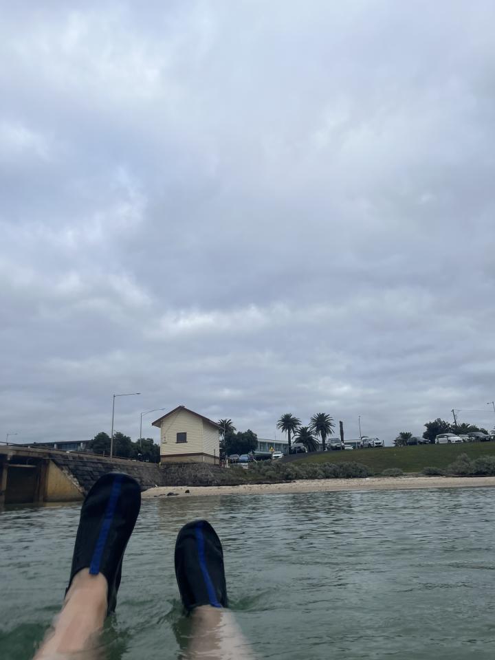 Chilly autumn overcast morning | Australia, Victoria, St Leonards