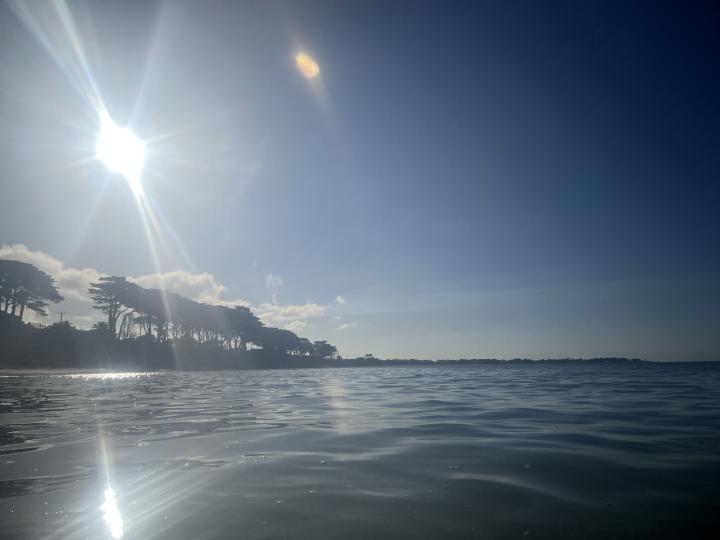 Warm sun beaming down on a cold autumn plunge. Perfection | Australia, Victoria, St Leonards
