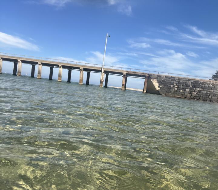 Crystal clear end of summer splash | Australia, Victoria, St Leonards