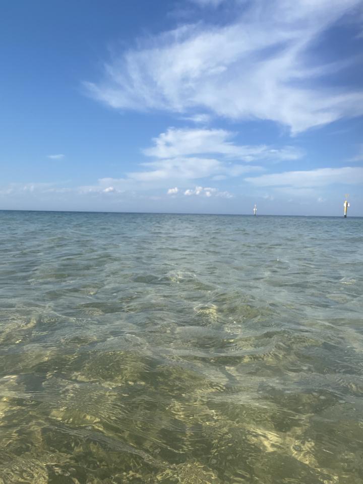 Heaven on Earth | Australia, Victoria, St Leonards